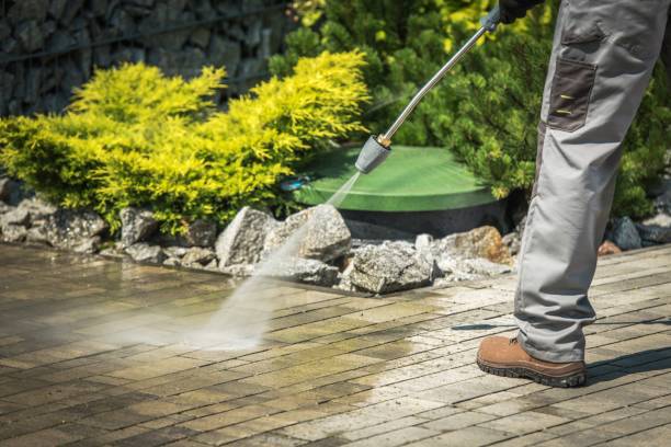 Boat and Dock Cleaning in Estes Park, CO