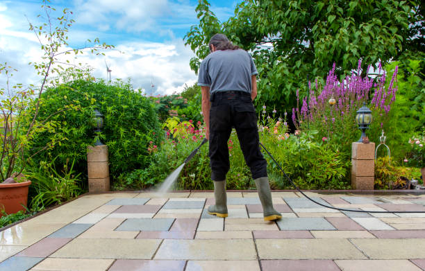 Best Animal Enclosure Cleaning  in Estes Park, CO